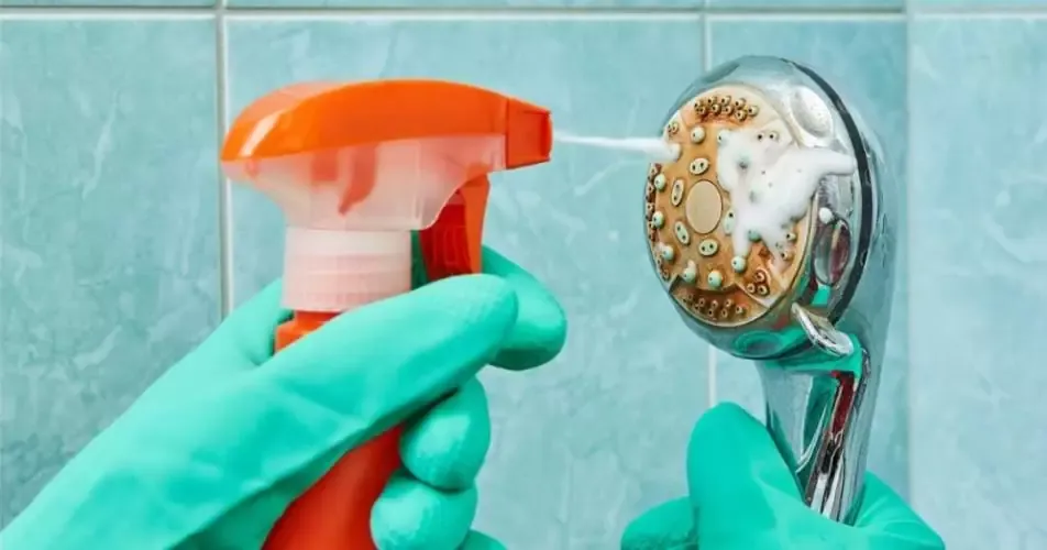How To Clean A Shower Head