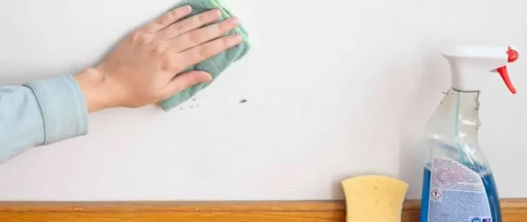 How To Clean White Walls? Keep Your Walls Neat And Tidy