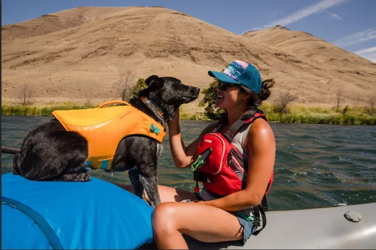8 Best Dog Life Jackets In Australia 2025: Bright Colors & Adjustable Straps